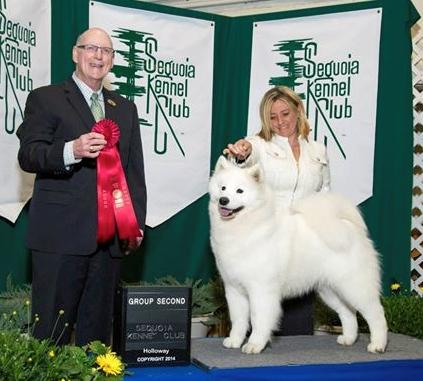 BIS BISS GCh.Polar Mist Midnight Delight, (RETIRED)